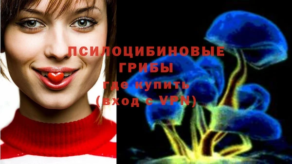 Альфа ПВП Лиски