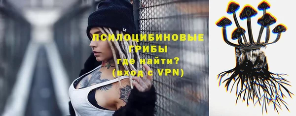 Альфа ПВП Лиски