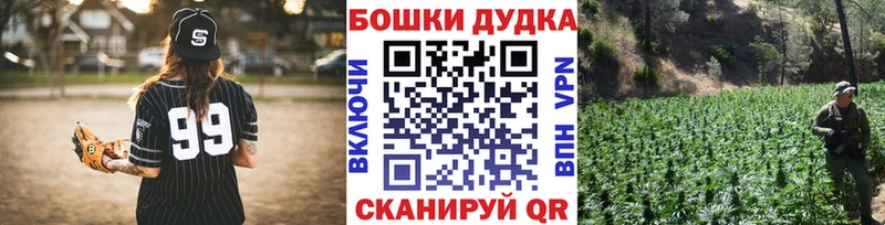 Каннабис OG Kush Жердевка